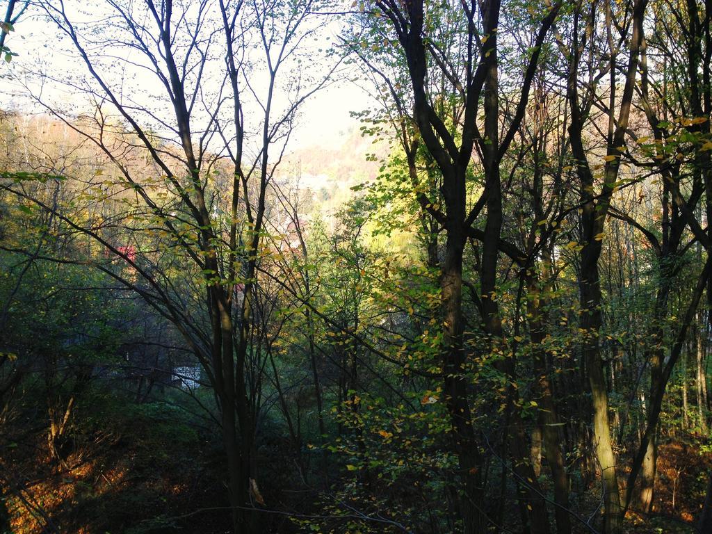 Vila Osrodek Kwaskowa Kazimierz Dolny Exteriér fotografie