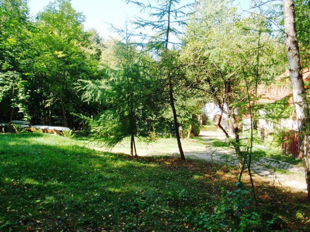 Vila Osrodek Kwaskowa Kazimierz Dolny Exteriér fotografie