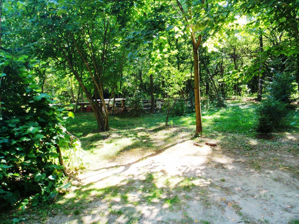 Vila Osrodek Kwaskowa Kazimierz Dolny Exteriér fotografie