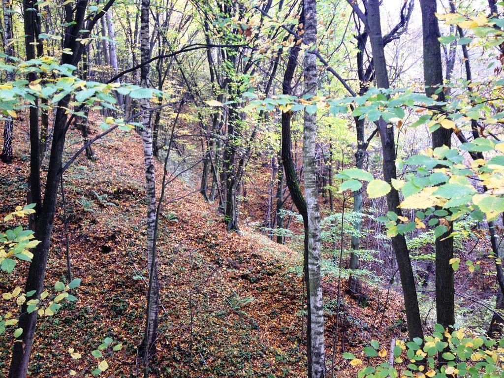 Vila Osrodek Kwaskowa Kazimierz Dolny Exteriér fotografie