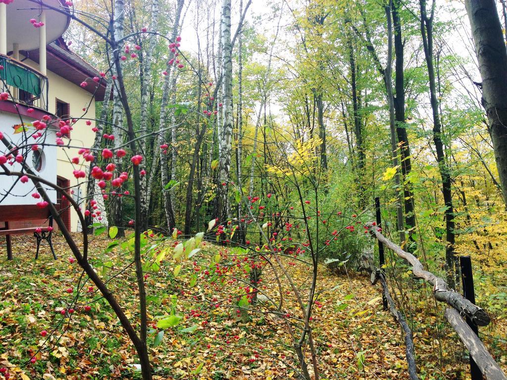 Vila Osrodek Kwaskowa Kazimierz Dolny Exteriér fotografie