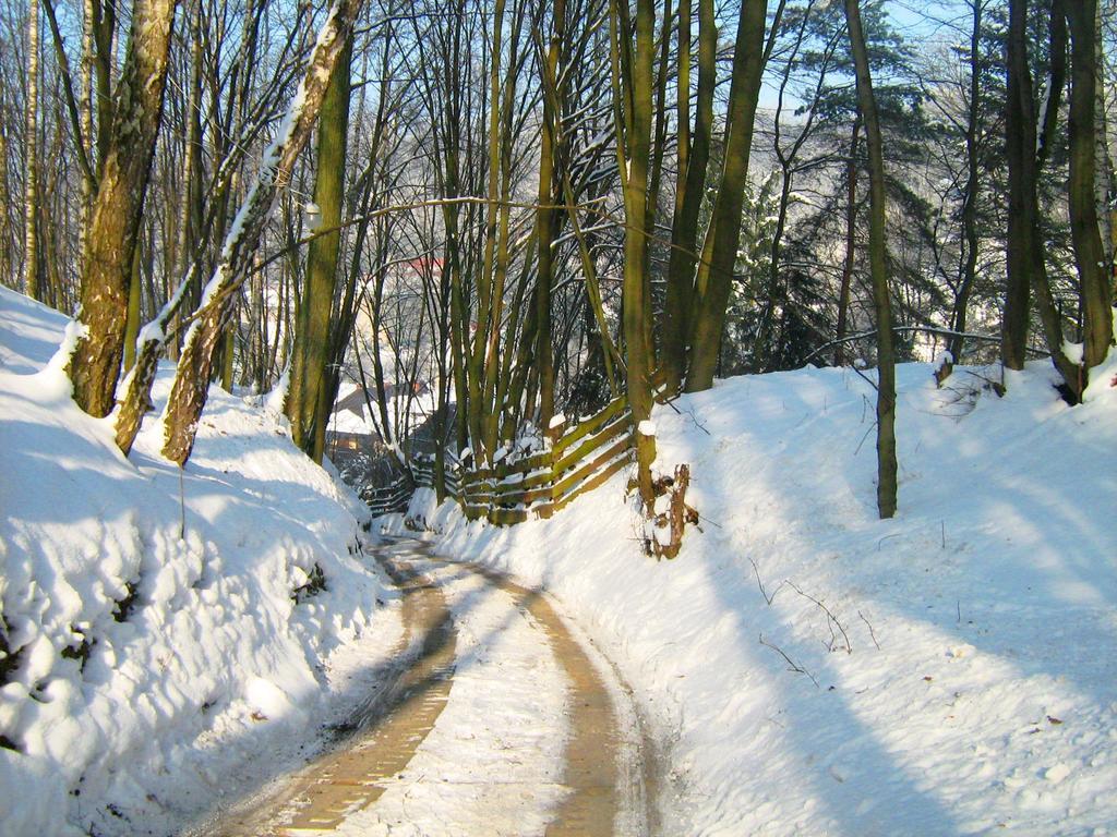 Vila Osrodek Kwaskowa Kazimierz Dolny Exteriér fotografie